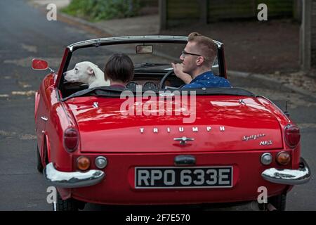 GRAN BRETAGNA / Inghilterra / Coppia con cane che guida in auto convertibile classica .Triumph Spitfire Mark III 1967, Foto Stock