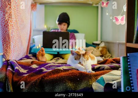 Un gatto in primo piano si stende a letto con il ragazzo sul computer sul retro Foto Stock