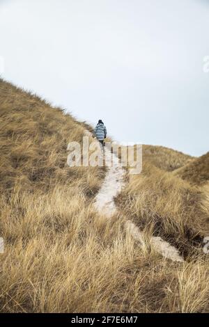 Donna che cammina su Windy Sand Dune con Tall Beach Grass In Danimarca Foto Stock