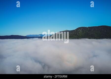 Primo mattino drone panorama del campo Planinsko Polje in Slovenia durante la fitta nebbia sulla pianura, con solo colline più alte come Strmca sono visti stic Foto Stock