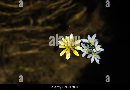 Outside Natur/Wild and Landscape Photoshooting / in der Natur eingefangene Momente Foto Stock