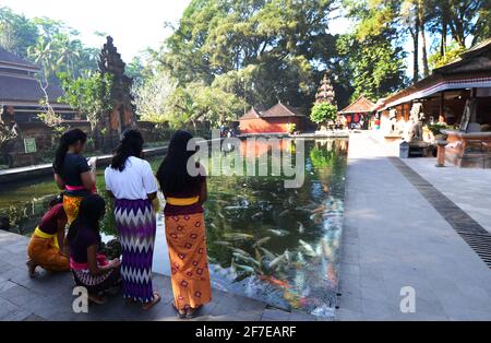 Pesci Koi nello stagno nel tempio Tirta Emcul a Bali, Indonesia. Foto Stock