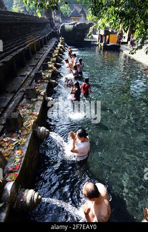 I balinesi si purificano al bagno purificante del tempio Tirta Empowerl di Bali, Indonesia. Foto Stock