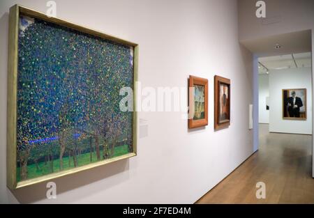 Pear Tree (1903) di Gustav Klimt e altre opere d'arte esposte a Busch-Reisinger Museum.Harvard University.Cambridge.Massachusetts.USA Foto Stock