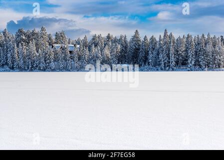 Cabina innevata nascosta tra gli alberi sul lago Lillian vicino Invermere, BC, Canada Foto Stock