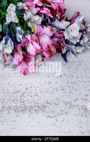 Fiori di sfondo del giorno delle madri su superficie bianca. Foto Stock