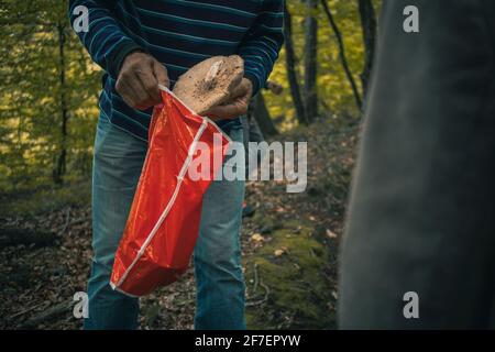 Uomo raccogliendo funghi nella foresta. Attività di svago di raccogliere i funghi e metterli in un sacchetto di plastica. Delizie commestibili dalla natura Foto Stock