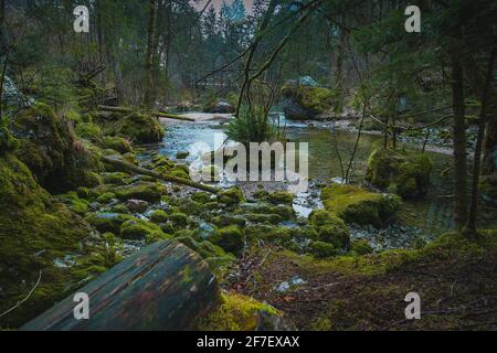 Pietre e legno alla sorgente del fiume di Kamniska Bistrica in Slovenia in inverno secco. Rocce incantate fredde con acqua corrente nel mezzo del Foto Stock