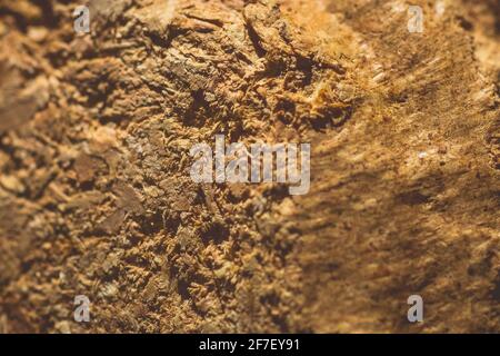 Primo piano macro foto di un bricchetti di legno. Materiale di legno in legno per un fuoco o un camino. Combustibile per una stufa, closeup. Foto Stock