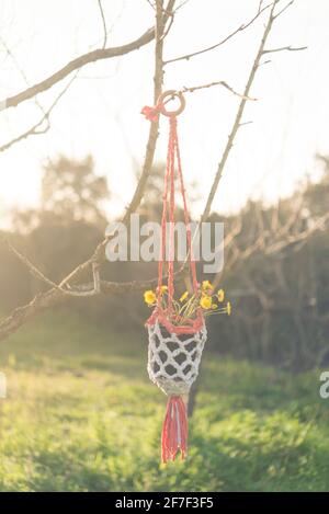 Pentola di macrame fatta a mano con margherita Foto Stock