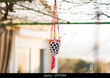 Pentola di macrame fatta a mano con margherita Foto Stock