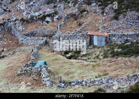 Sheep yards, Isola di Raasay, Scozia Foto Stock