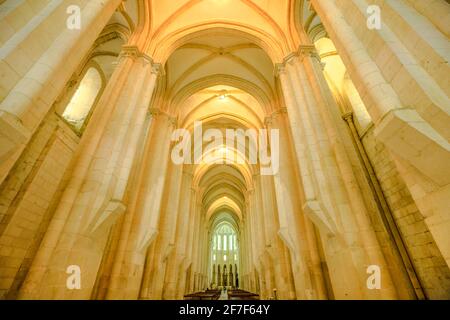 Alcobaca, Portogallo - 15 agosto 2017: Vista dal basso delle navate e della caucciatura della Cattedrale di Alcobaca o Mosteiro de Santa Maria de Alcobaca in Portogallo Foto Stock