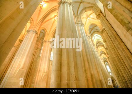 Alcobaca, Portogallo - 15 agosto 2017: Vista dal basso delle navate e della caucciatura della Cattedrale di Alcobaca o Mosteiro de Santa Maria de Alcobaca in Portogallo Foto Stock