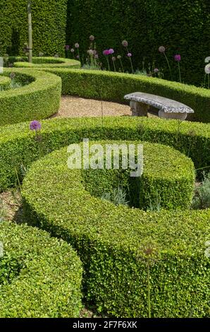 Houghton Hall Gardens in estate, Norfolk, Regno Unito; siepi di scatola ben tagliate nel giardino murato Foto Stock