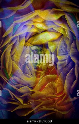 ARTE ASTRATTA: Onde di calore Foto Stock