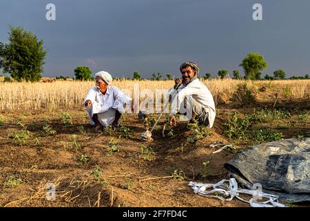 ritratto di agricoltori indiani seduti nei loro campi, belle nuvole in background. Foto Stock
