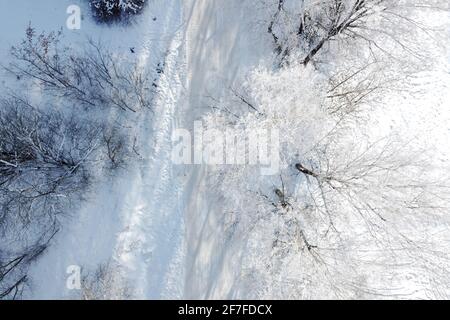 Paesaggio invernale - alberi di betulla coperto brina, vista aerea. Foresta invernale con alberi innevati in giornata soleggiata gelata, vista dall'alto Foto Stock