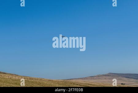 Un singolo aquilone rosso che vola sulle Black Mountains nel Galles meridionale in una giornata soleggiata e blu Foto Stock