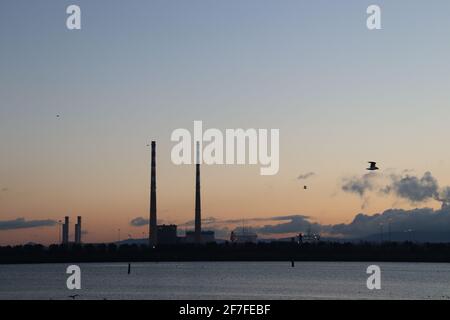 Stella anice in un vaso di vetro. Foto Stock