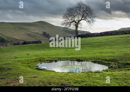 Dew laghetto vicino a Milldale, dove Valley, Peak District National Park, Staffordshire Foto Stock