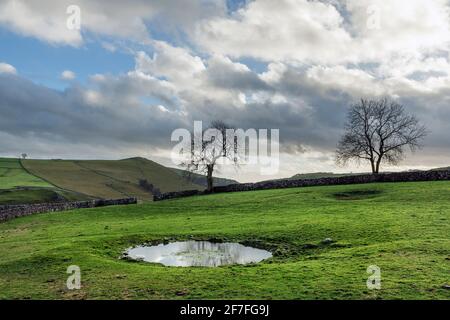 Dew laghetto vicino a Milldale, dove Valley, Peak District National Park, Staffordshire Foto Stock