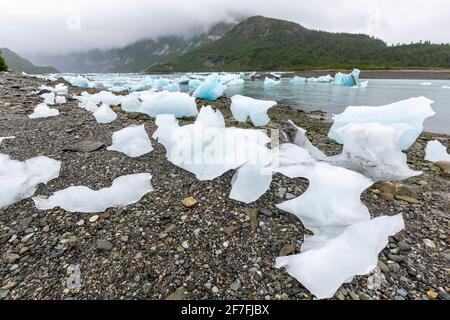 Ghiaccio glaciale incagliato sulla spiaggia a bassa marea nel braccio est del Glacier Bay National Park, patrimonio dell'umanità dell'UNESCO, Alaska sudorientale, Stati Uniti Foto Stock