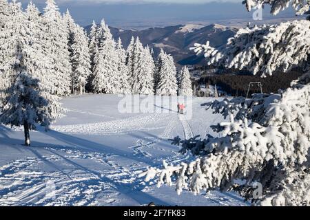 Bellissimo paesaggio invernale in VLADEASA montagne, Transilvania, Romania, Europa Foto Stock