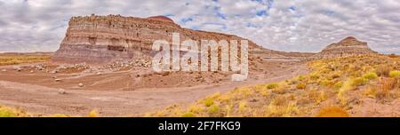 Il bordo orientale del letto di Clam Mesa lungo il Red Basin Trail nel Petrifified Forest National Park, Arizona, Stati Uniti d'America, Nord America Foto Stock