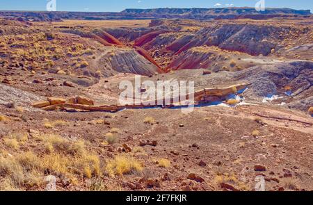 Uno dei pochi alberi pietrificati quasi intatti, l'Onyx Bridge nel Petrifified Forest National Park, Arizona, Stati Uniti d'America, Nord America Foto Stock