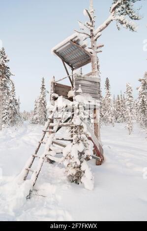 Una torre di caccia alle alci innevate a Jukkasjärvi, Kiruna, Svezia, Lapponia. Foto Stock