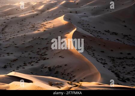 Luce del tramonto sulle dune di sabbia del deserto di Rub al Khali, Oman, Medio Oriente Foto Stock