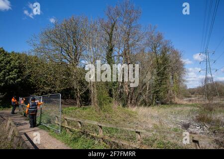 Denham, Regno Unito. 6 aprile 2021. Le guardie di sicurezza HS2 e gli agenti di applicazione recingono da un'area durante l'abbattimento di alberi nel Denham Country Park per i lavori di rilocazione di piloni elettrici collegati al collegamento ferroviario ad alta velocità HS2. Migliaia di alberi sono già stati abbattuti nella valle del Colne, dove opere HS2 includerà la costruzione di un Viadotto Colne Valley attraverso laghi e corsi d'acqua e rilocazione di piloni elettrici. Credit: Mark Kerrison/Alamy Live News Foto Stock