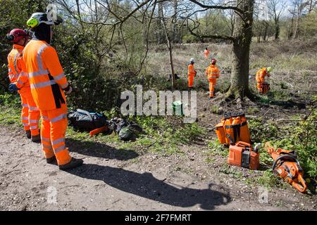 Denham, Regno Unito. 6 aprile 2021. I chirurghi dell'albero osservano l'abbattimento degli alberi lungo il Canal Grande della Unione come parte dei lavori di rilocazione del pilone elettrico in Denham Country Park collegato al collegamento ferroviario ad alta velocità HS2.migliaia di alberi sono già stati abbattuti nella valle del Colne dove i lavori dell'HS2 includeranno la costruzione di un Colne Valley Viadotto attraverso laghi e corsi d'acqua e rilocazione di piloni elettrici. Credit: Mark Kerrison/Alamy Live News Foto Stock