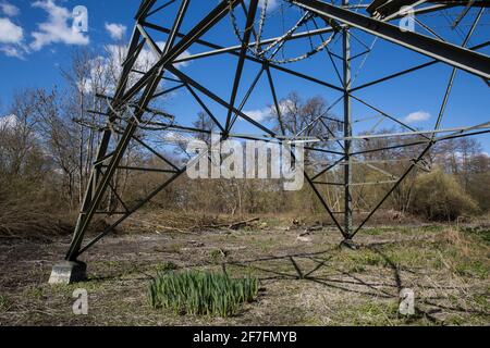 Denham, Regno Unito. 6 aprile 2021. Parte di una grande area liberata da alberi e vegetazione per lavori di rilocazione di piloni elettrici collegati al collegamento ferroviario ad alta velocità HS2. Migliaia di alberi sono già stati abbattuti nella valle del Colne, dove opere HS2 includerà la costruzione di un Viadotto Colne Valley attraverso laghi e corsi d'acqua e rilocazione di piloni elettrici. Credit: Mark Kerrison/Alamy Live News Foto Stock