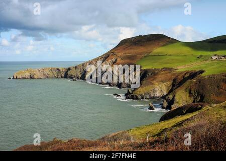 Le scogliere erose della penisola di Lochtyn a Llangrannog, il dente di roccia del Gigante Bica è più in basso a destra, Lochtyn, Ceredigion, Galles, Regno Unito, Europa Foto Stock