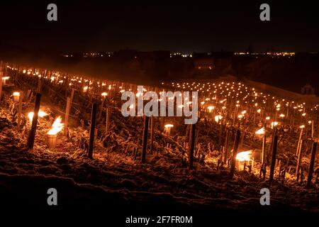 Clos des Lambrays Grand Cru, Morey Saint Denis - Martedì notte stava andando essere freddo e i viticoltori della Côte d'Or non dormiva molto. Intorno alle 4 del mattino, sono andati nei vigneti per accendere i riscaldatori per evitare che le prime gemme si congelassero. Tali operazioni sono state riportate in Puligny-Montrachet, Meursault e Chassagne-Montrachet. Cote d'Or, Francia, il 7 aprile 2021. Foto di Baptiste Paquot/ABACAPRESS.COM Foto Stock