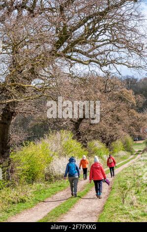 Persone che camminano lungo un vicolo di campagna nella costa di Norfolk AONB. Parte della passeggiata circolare di Snettisham segnata in un bel giorno di Primavera ad aprile. Foto Stock