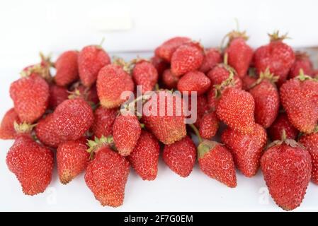 Un sacco di fragole e un albicocca gialla con foglia verde giacciono su un davanzale bianco. Vista dall'alto Foto Stock