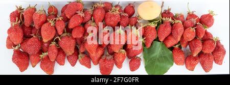 Un sacco di fragole e un albicocca gialla con foglia verde giacciono su un davanzale bianco. Vista dall'alto Foto Stock