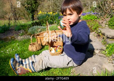 Bambino ragazzo seduto in giardino dopo la caccia all'uovo di Pasqua Con cestino di uova di Pasqua che tengono mostrando uovo di cioccolato grande Nella sua mano Galles UK KATHY DEWITT Foto Stock