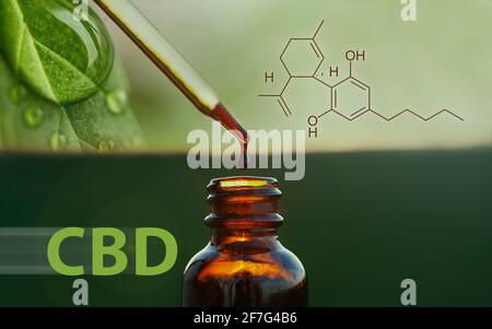 Olio di canapa CBD, una goccia che gocciola dalla pipetta. Trattamento di erbe, medicina alternativa. Foto Stock