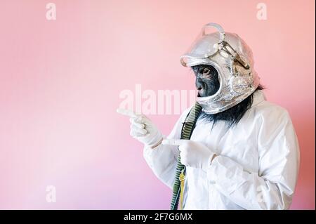 Ritratto dell'uomo con maschera gorilla e casco astronauta Foto Stock