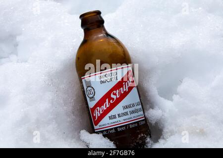 Londra, Ontario, Canada - 6 febbraio 2021: Una bottiglia aperta di lager a strisce rosse in una banca di neve nel centro di Londra, Ontario, mantenendo fresco. Foto Stock