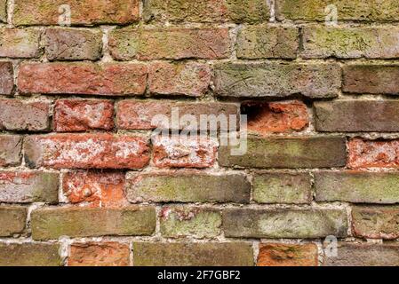 Multicolore Brick muro sfondo varietà di mattoni muro fatto con vecchi mattoni rigenerati Foto Stock