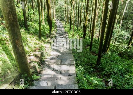 Sentiero escursionistico nel Parco Nazionale della Foresta di Zhangjiajie nella provincia di Hunan, Cina Foto Stock