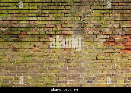 Multicolore Brick muro sfondo varietà di mattoni muro fatto con vecchi mattoni rigenerati in un modello regolare Foto Stock