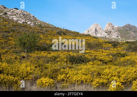 Sentiero escursionistico la Cuna sopra il passo Zafarraya tra Andalucía e Granada, Spagna, Europa Foto Stock