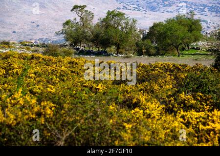 Sentiero escursionistico la Cuna sopra il passo Zafarraya tra Andalucía e Granada, Spagna, Europa Foto Stock