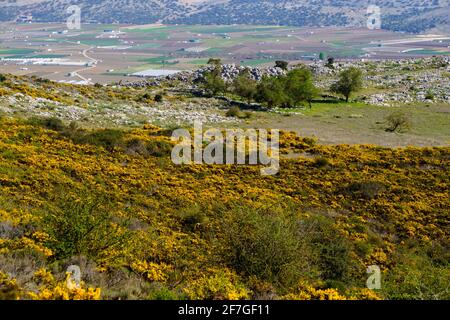 Sentiero escursionistico la Cuna sopra il passo Zafarraya tra Andalucía e Granada, Spagna, Europa Foto Stock